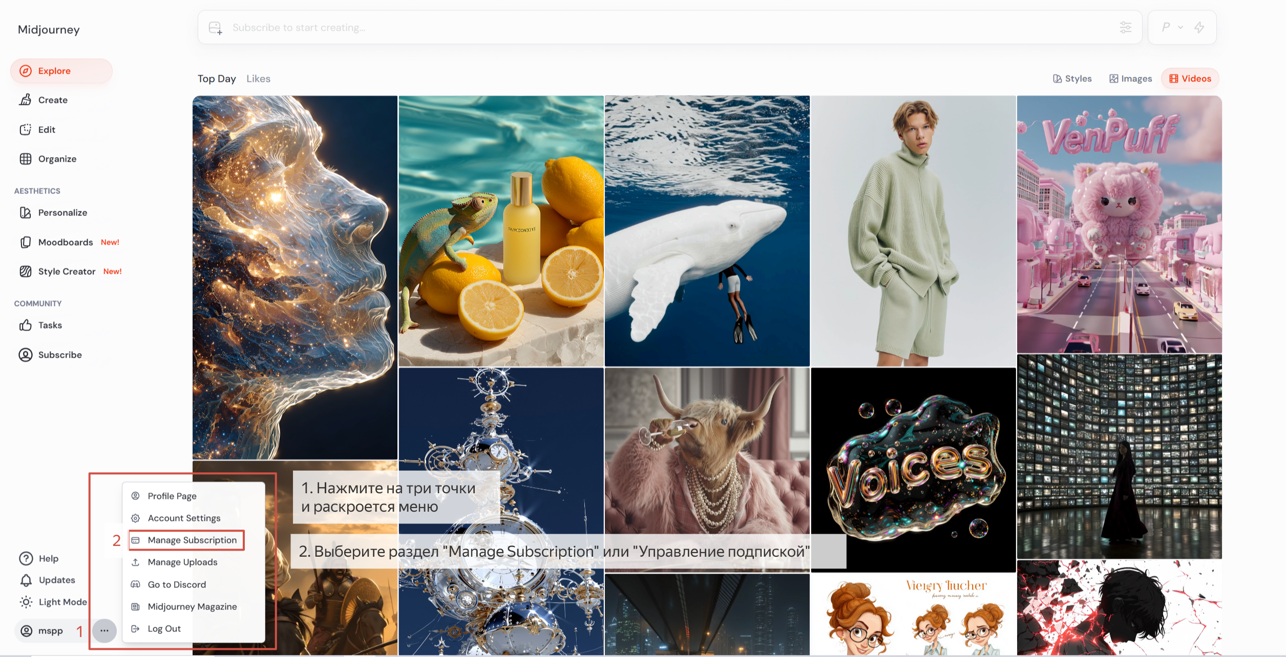 Перейдите в Manage Subscription